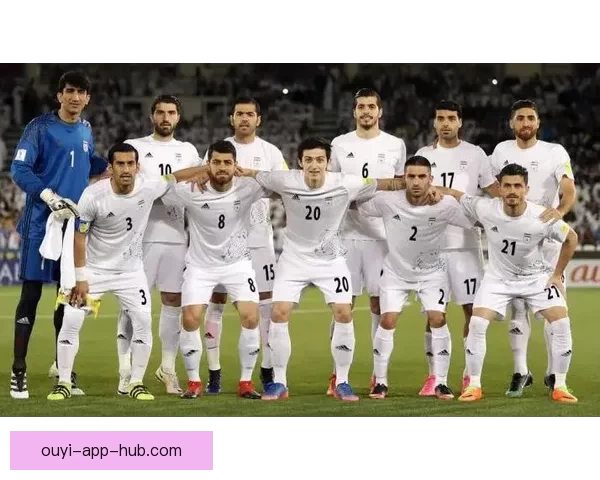 世界杯买球官网全方位解析与推荐助力球迷轻松下注体验